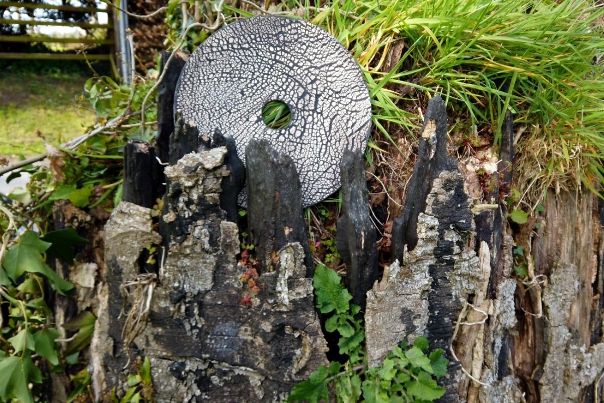 Mullan Ceramics Bog Oak Wall Light 